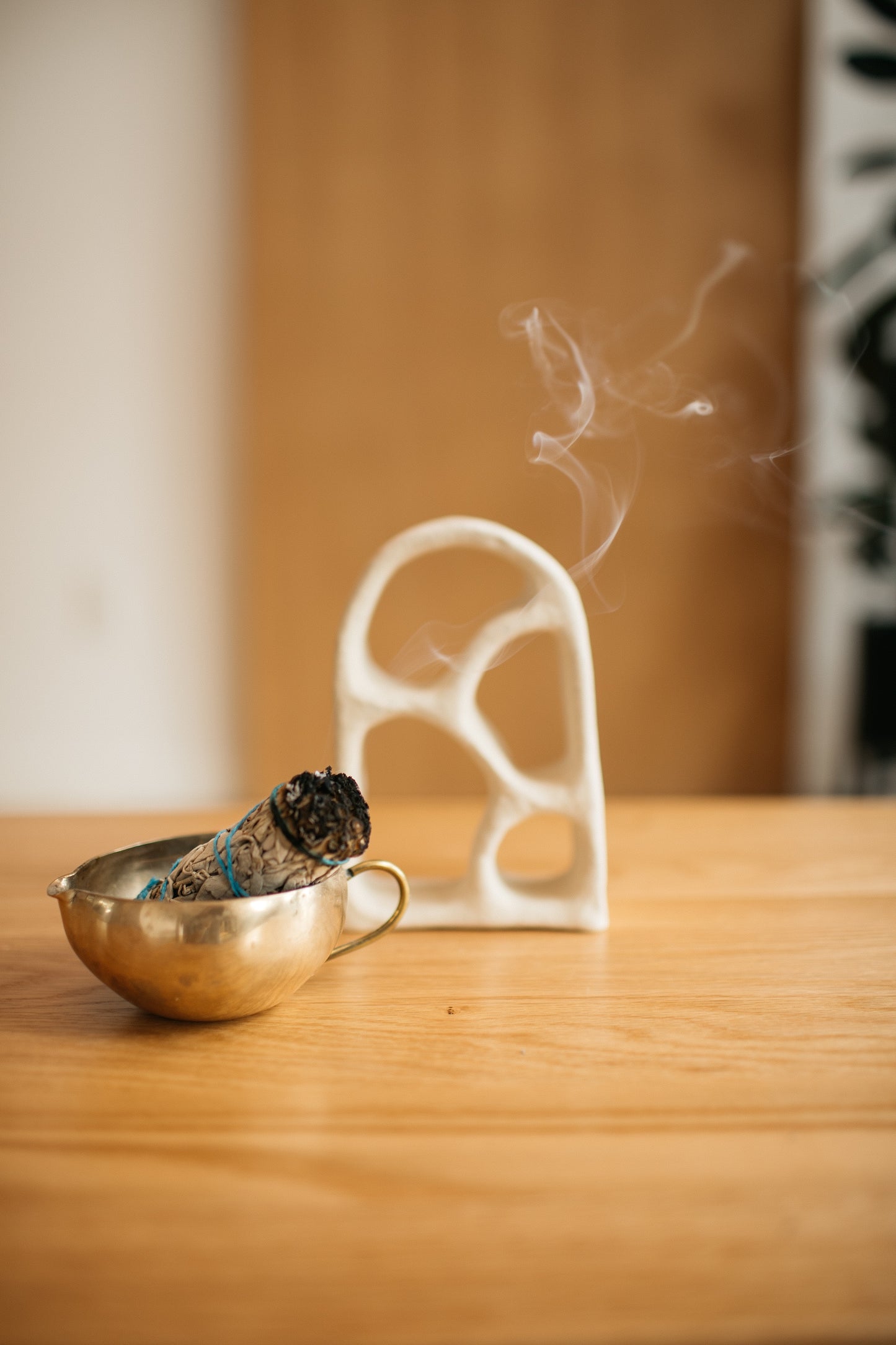 White Sage Bundle